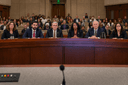Policy audience preview
